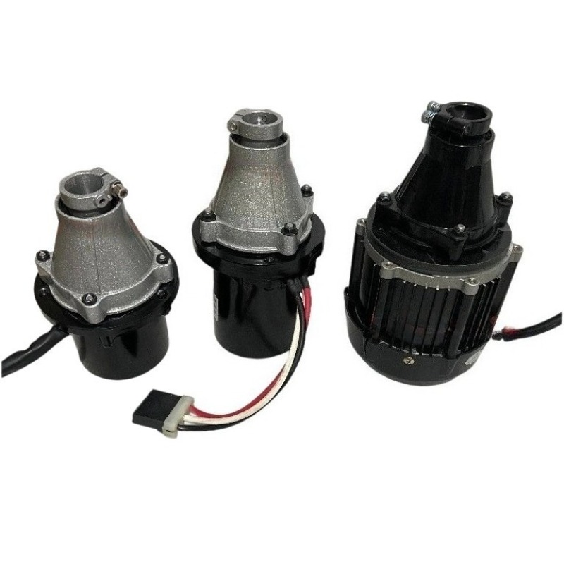 Fishing Boat Outboard Motor - محرك خارجي بدون فرشاة 12 فولت-60